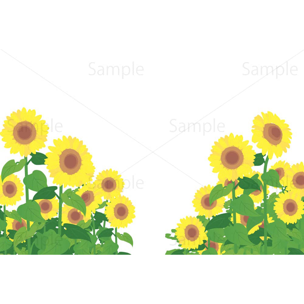 ひまわり畑のイメージイラスト素材