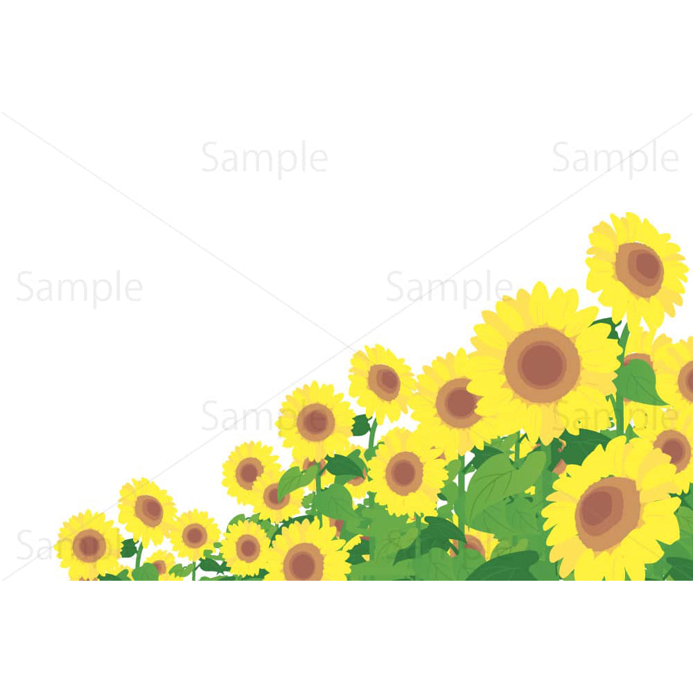 ひまわり畑のイメージイラスト素材