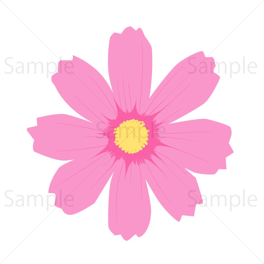 コスモスの花 – 素材ごよみ