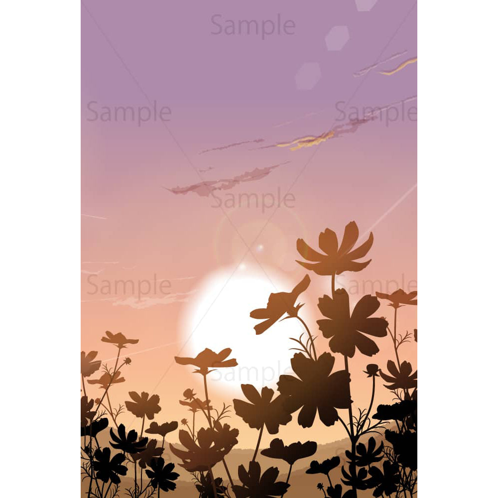 初秋の朝のコスモス畑のイラスト素材