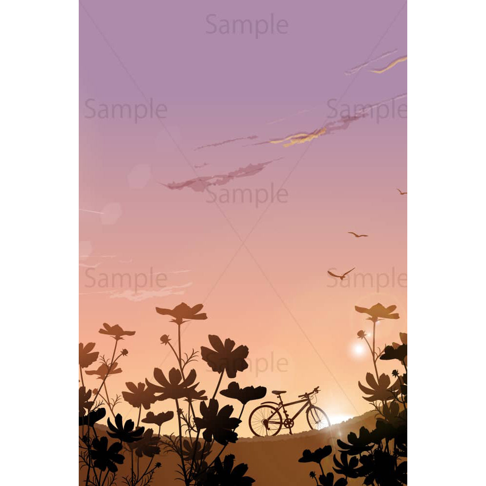 初秋の朝のコスモス畑のイラスト素材