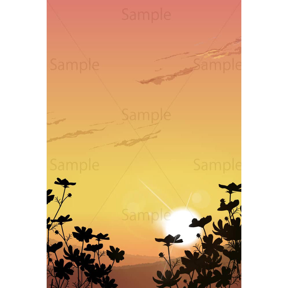 夕暮れ時のコスモス畑のイラスト素材