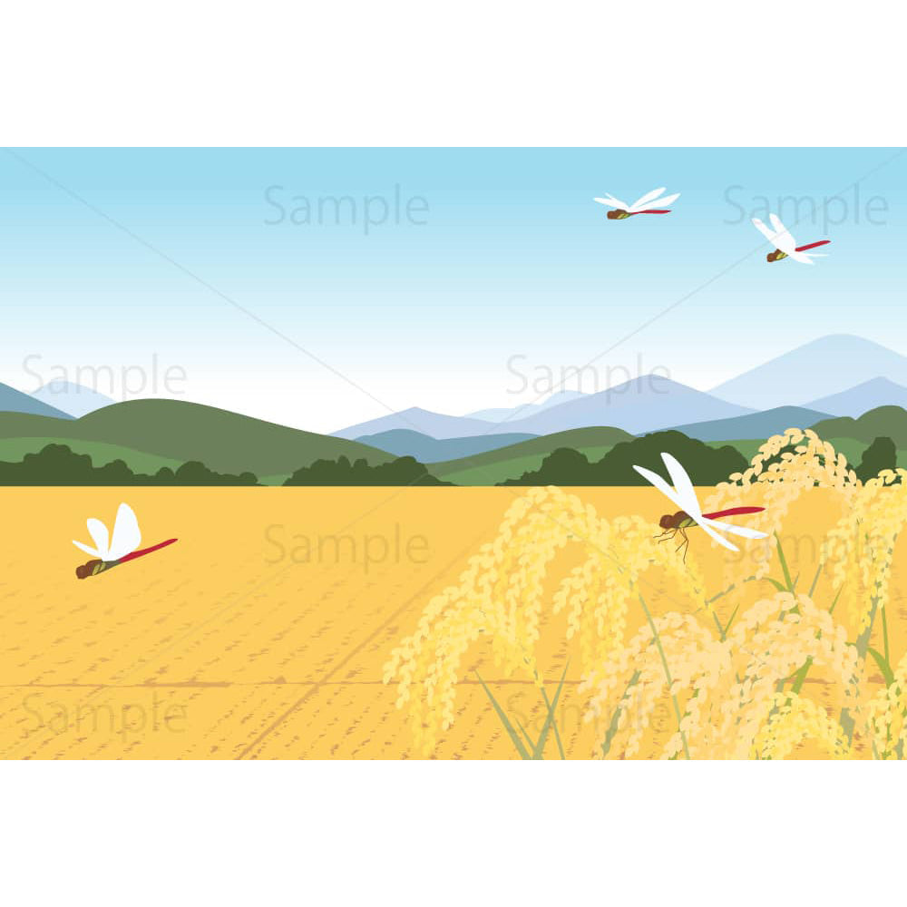 秋の稲田と赤トンボ(横)のイラスト素材|素材ごよみ - 季節のイラスト素材販売サイト
