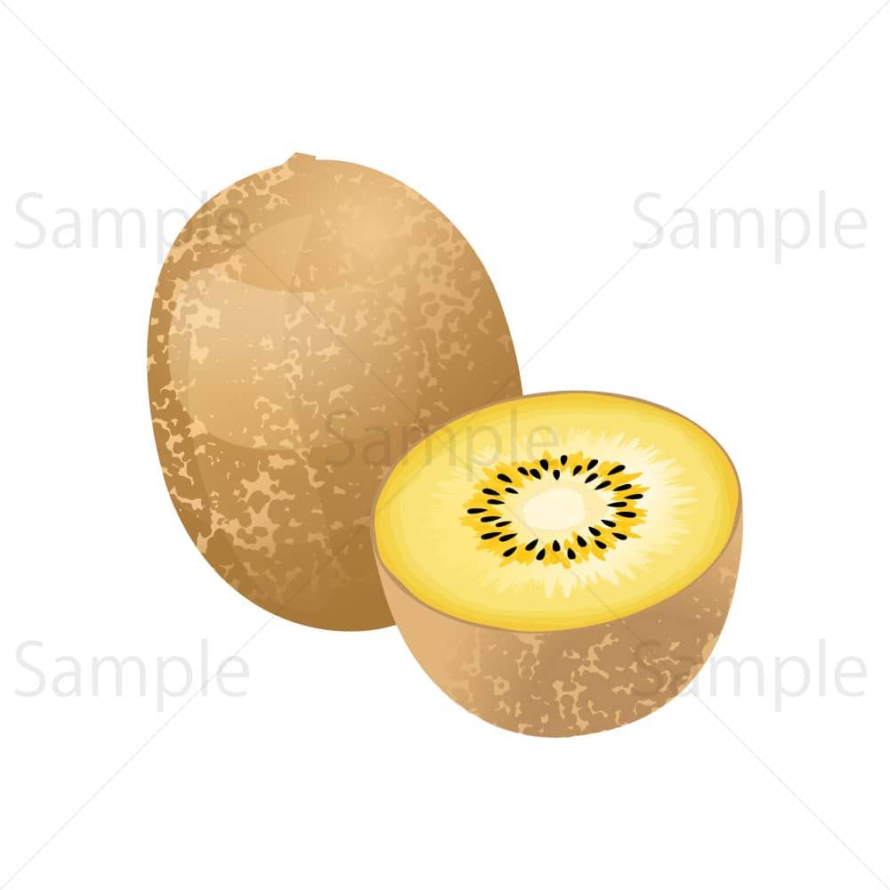 ゴールドキウイ – 素材ごよみ