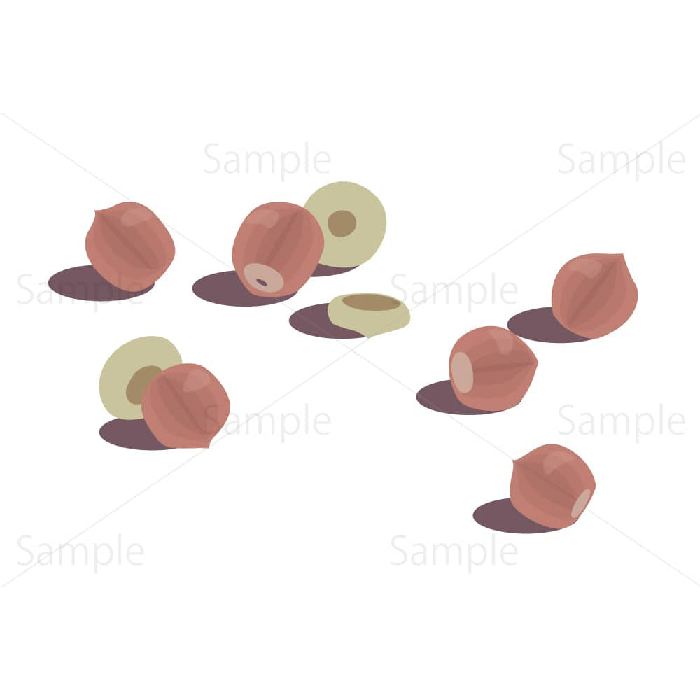 地面に転がったドングリのイラスト素材