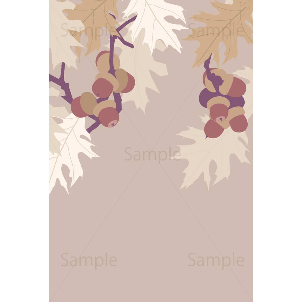 アカガシワの木とドングリ(縦)のイラスト素材