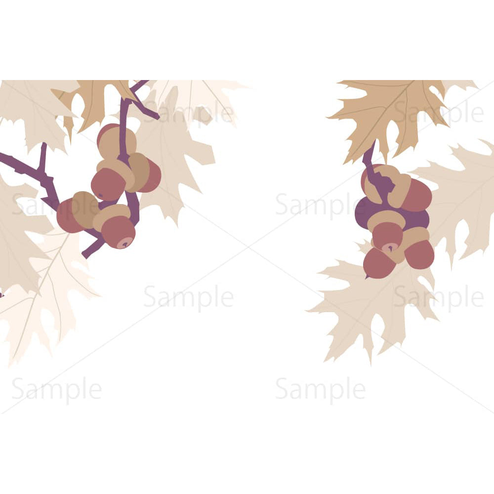 アカガシワの木とドングリ(横・背景透過)のイラスト素材