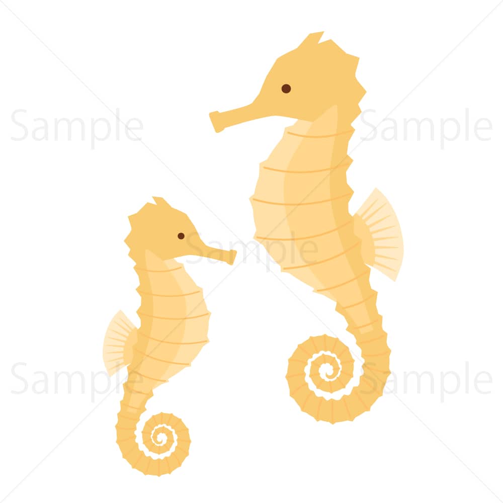 タツノオトシゴの親子のイラスト素材