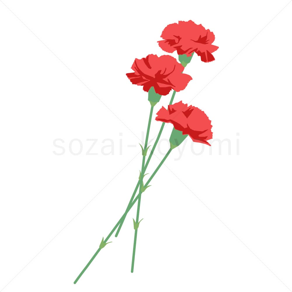 3本のカーネーションのイラスト素材