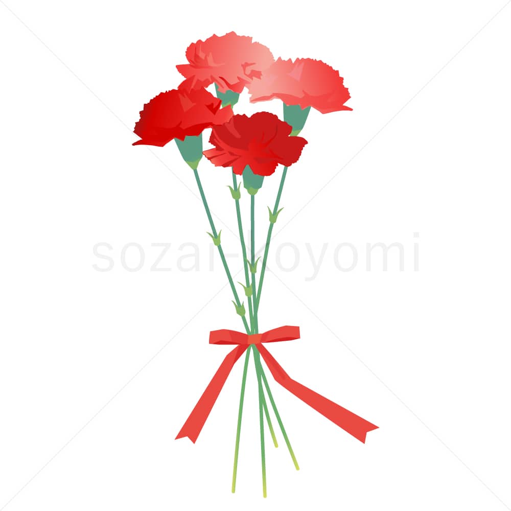 4本のカーネーション(リボン付き)のイラスト素材