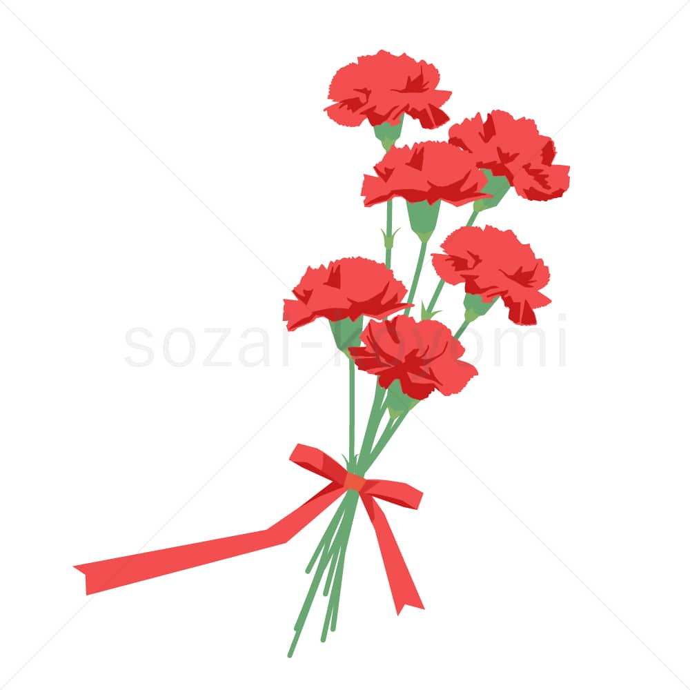 6本のカーネーション(リボン付き)のイラスト素材