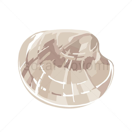 アサリのイラスト素材