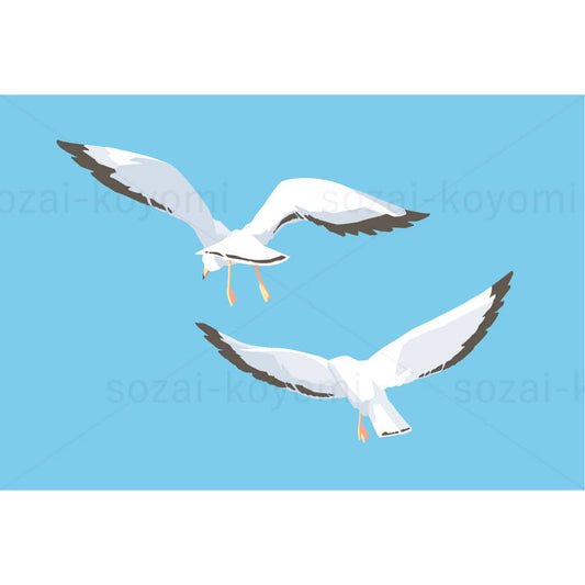 飛ぶウミネコの後ろ姿のイラスト素材