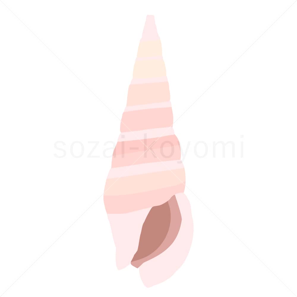 細長い巻貝(ピンク)のイラスト素材