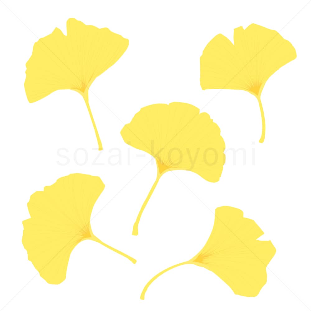 イチョウの葉(フラット)のイラスト素材