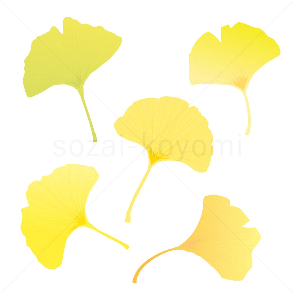 イチョウの葉(グラデーション)のイラスト素材