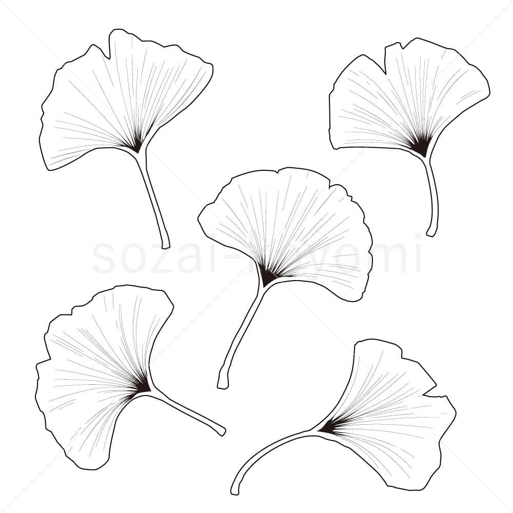 イチョウの葉(線画)のイラスト素材