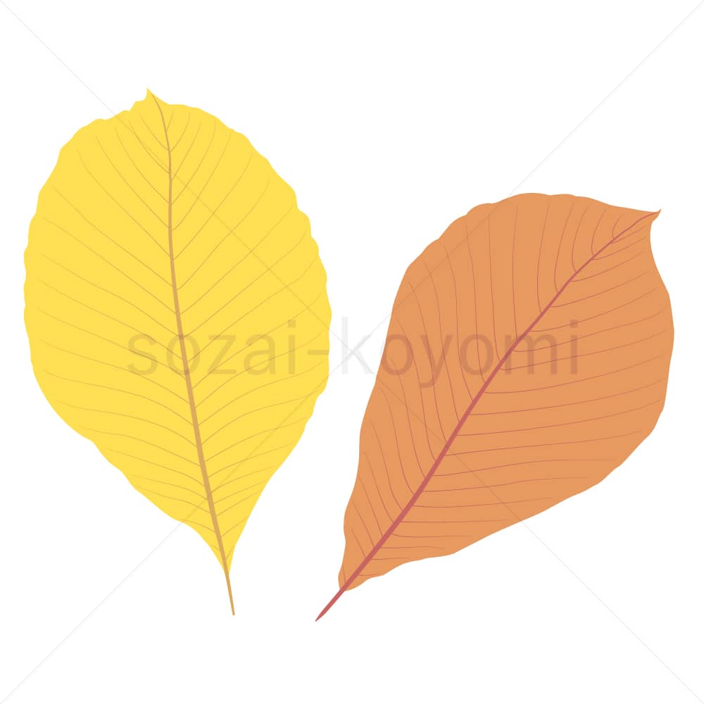 トチノキの葉(フラット)のイラスト素材