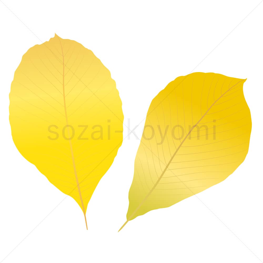 トチノキの葉(グラデーション)のイラスト素材