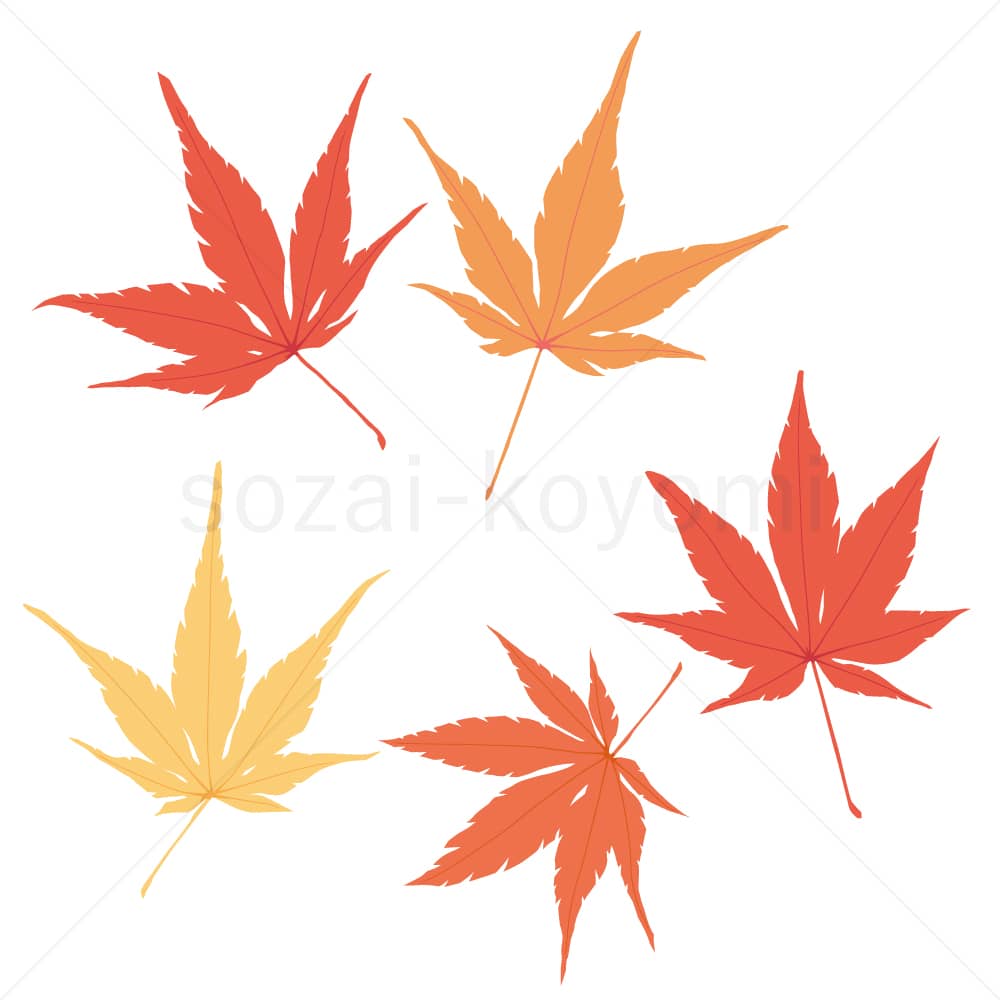 イロハモミジの葉(フラット)のイラスト素材