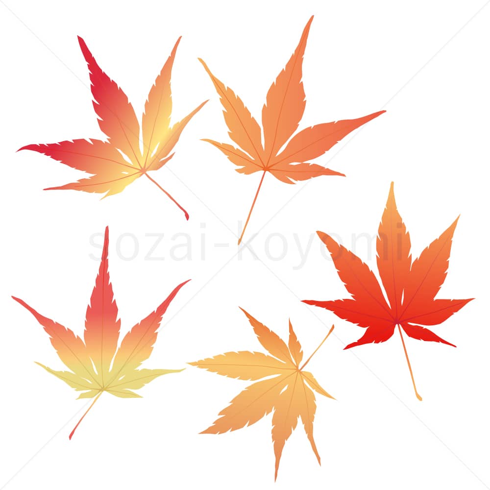 イロハモミジの葉(グラデーション)のイラスト素材