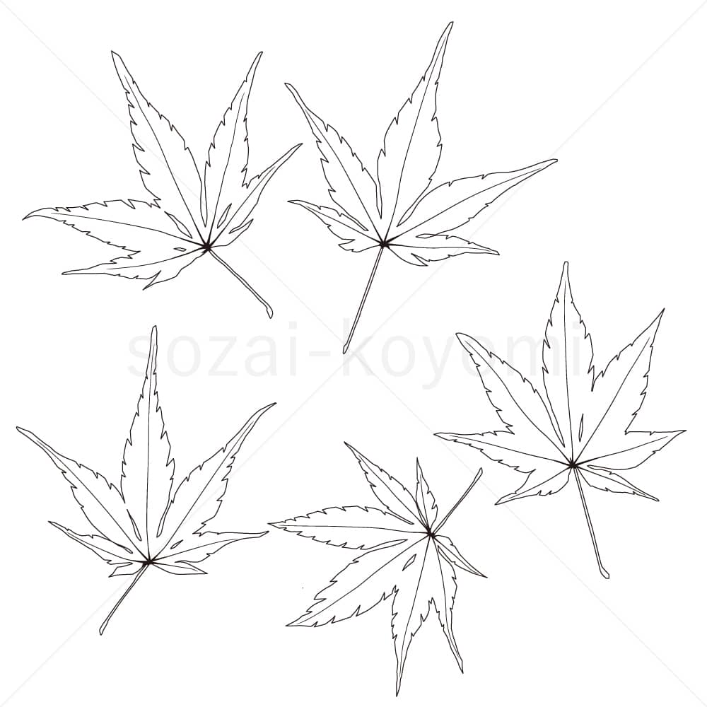 イロハモミジの葉(線画)のイラスト素材