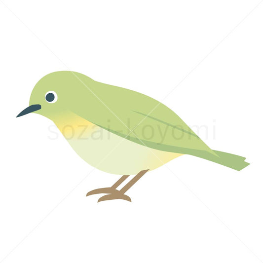 横向き(左向き)のメジロのイラスト素材