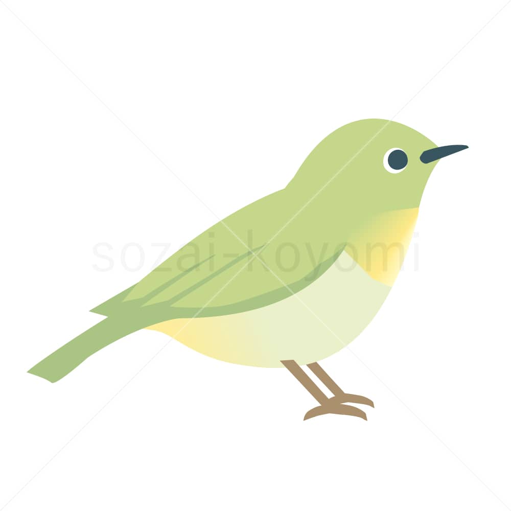 横向き(右向き)のメジロのイラスト素材