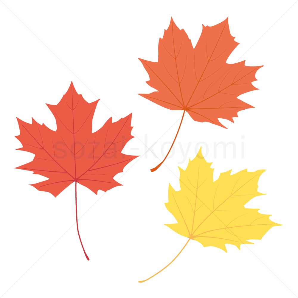 メープルツリーの葉(フラット)のイラスト素材