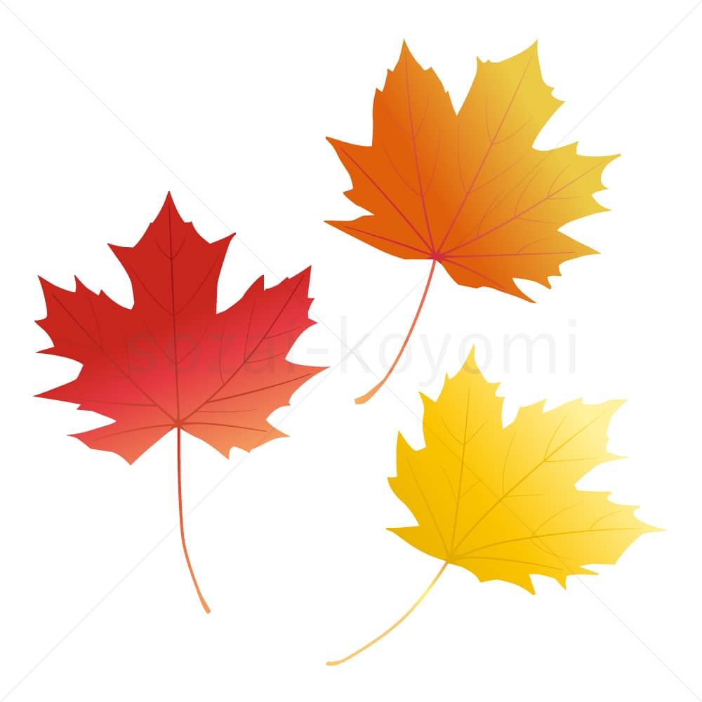 メープルツリーの葉(グラデーション)のイラスト素材