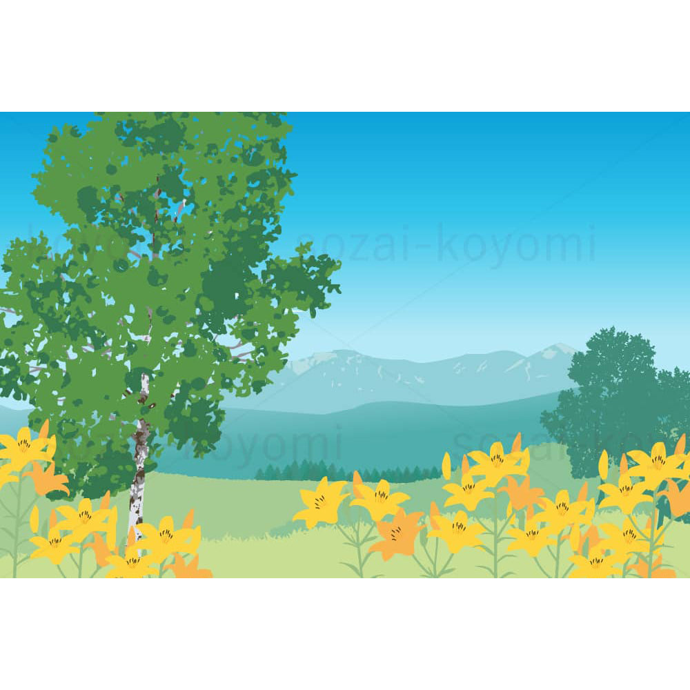 オレンジのユリと白樺の丘のイラスト素材