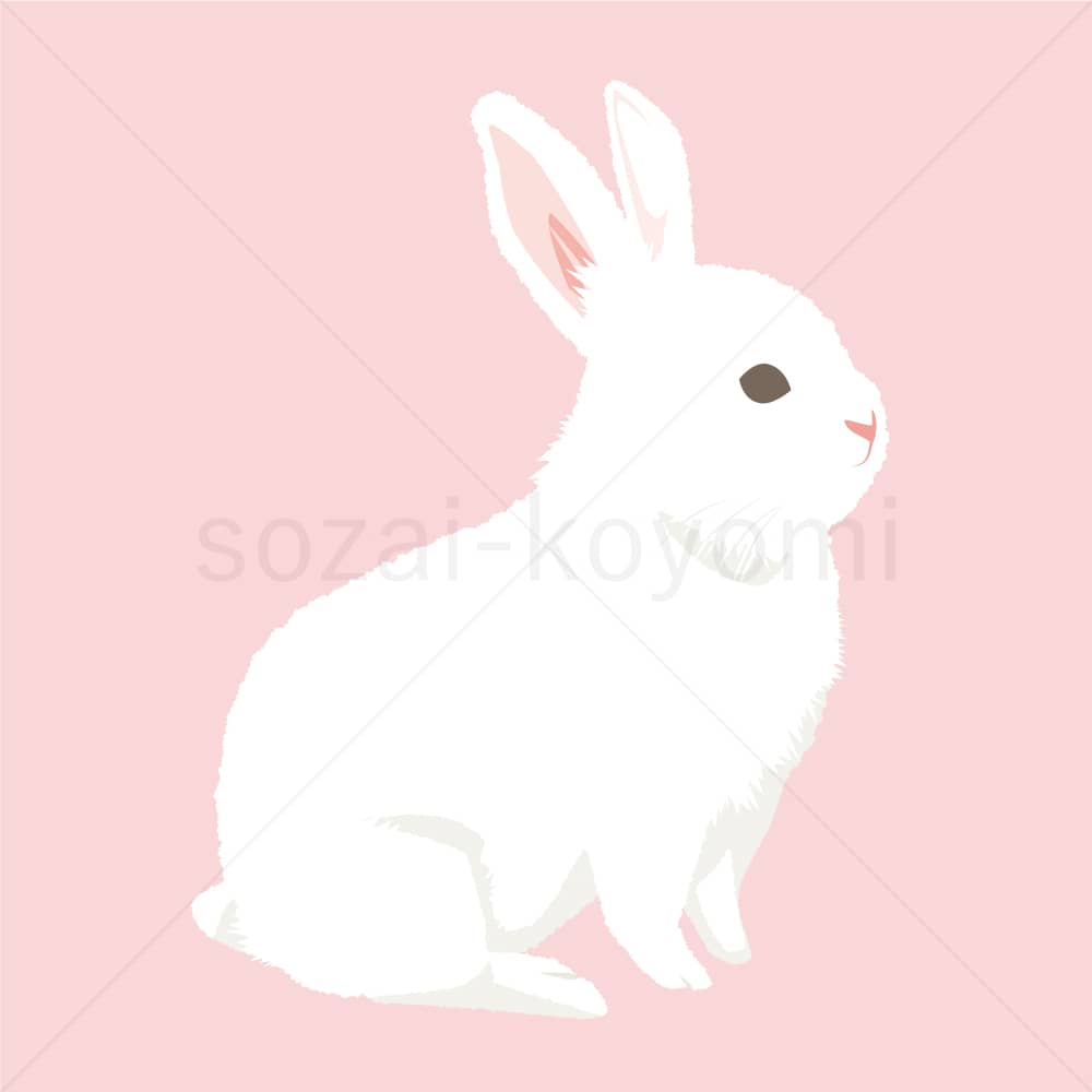 ウサギ(右向き)のイラスト素材