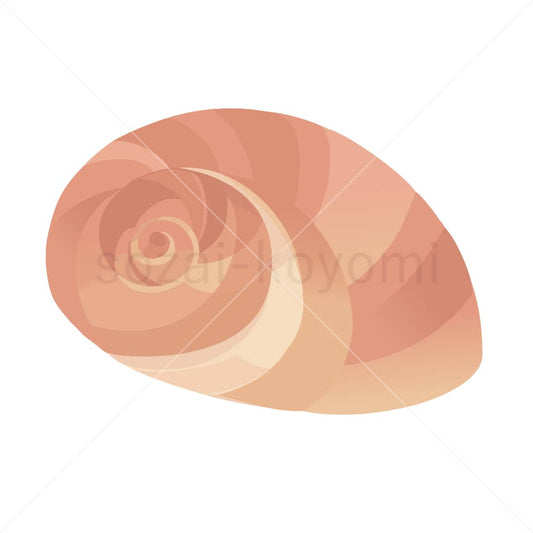らせん状の貝殻のイラスト素材