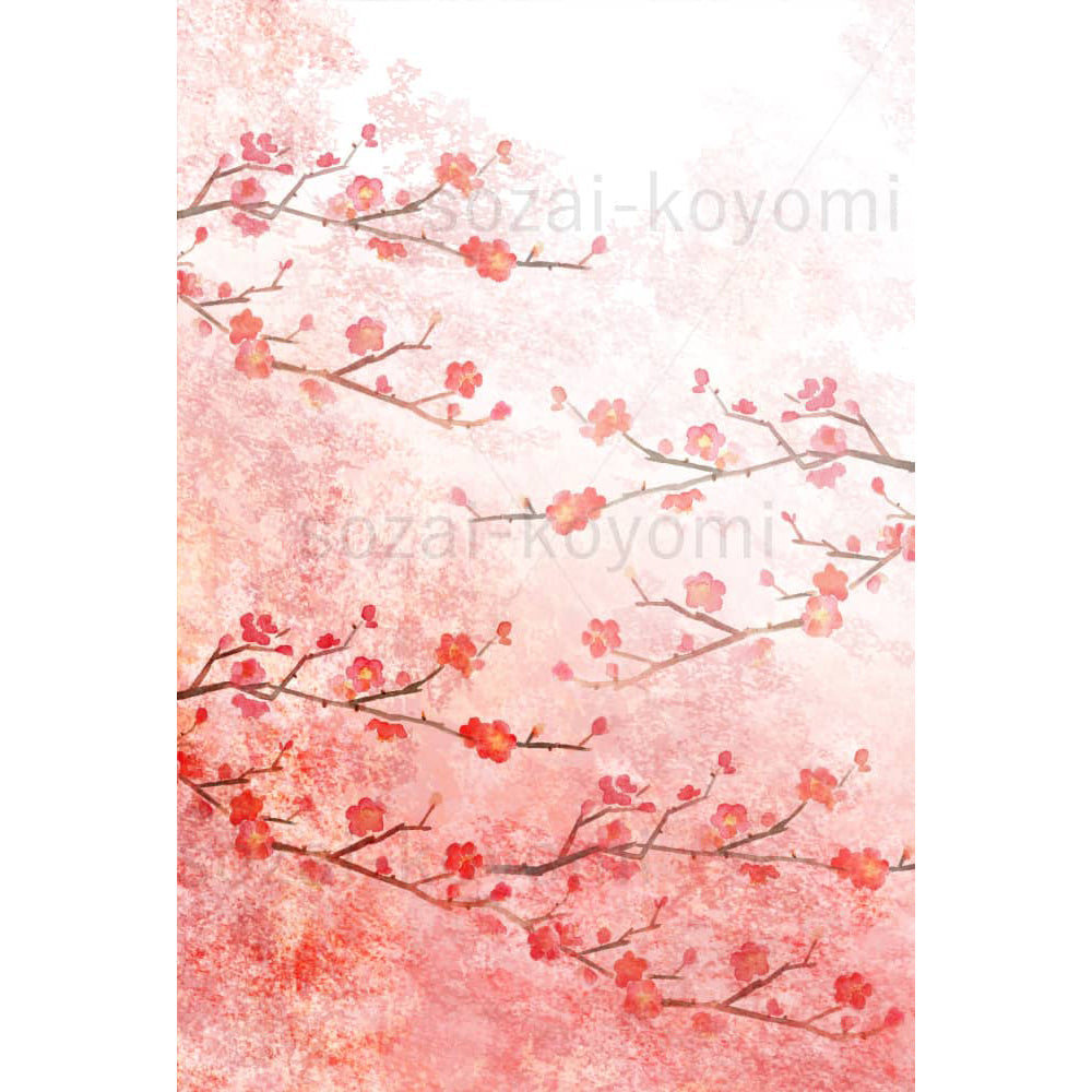 梅の花の背景イメージ素材