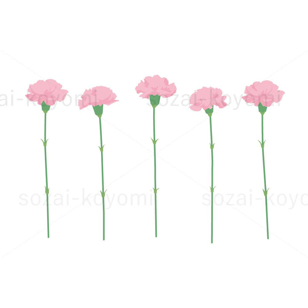 色々なカーネーション(ピンク)のイラスト素材