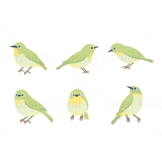 色々なメジロのイラスト素材