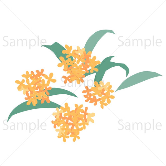 金木犀の花のイラスト素材｜素材ごよみ - 季節のイラスト素材販売サイト