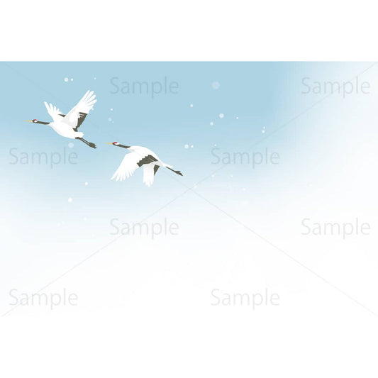 冬空を飛ぶ丹頂鶴（横）のイラスト素材