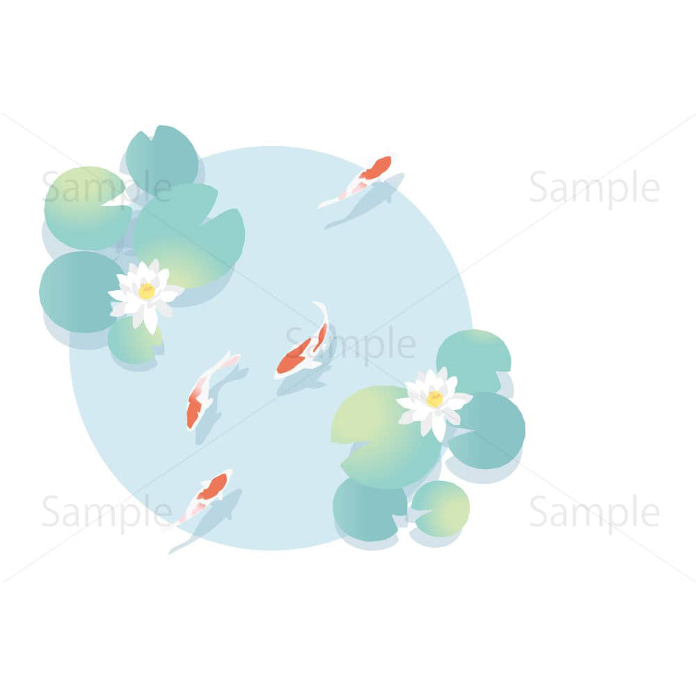 睡蓮の咲く池で泳ぐ錦鯉のイラスト素材