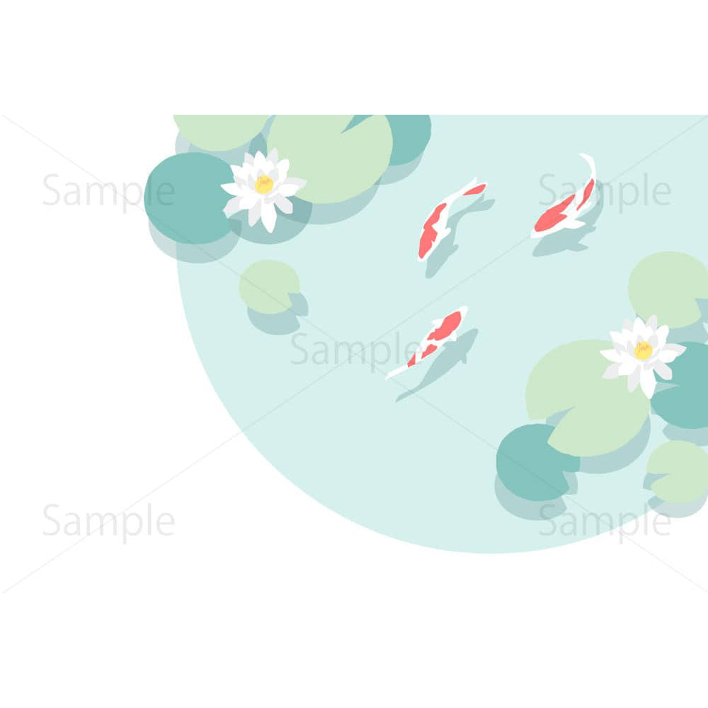 睡蓮の池で泳ぐ錦鯉のイラスト