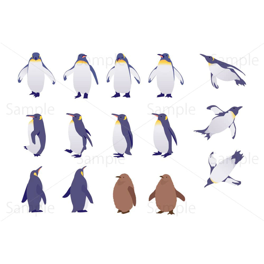 ペンギン（セット）のイラスト素材