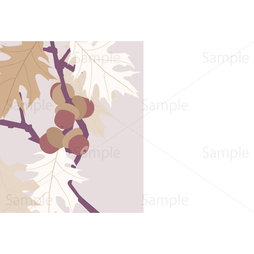 アカガシワの葉とドングリ（北欧風）のイラスト素材