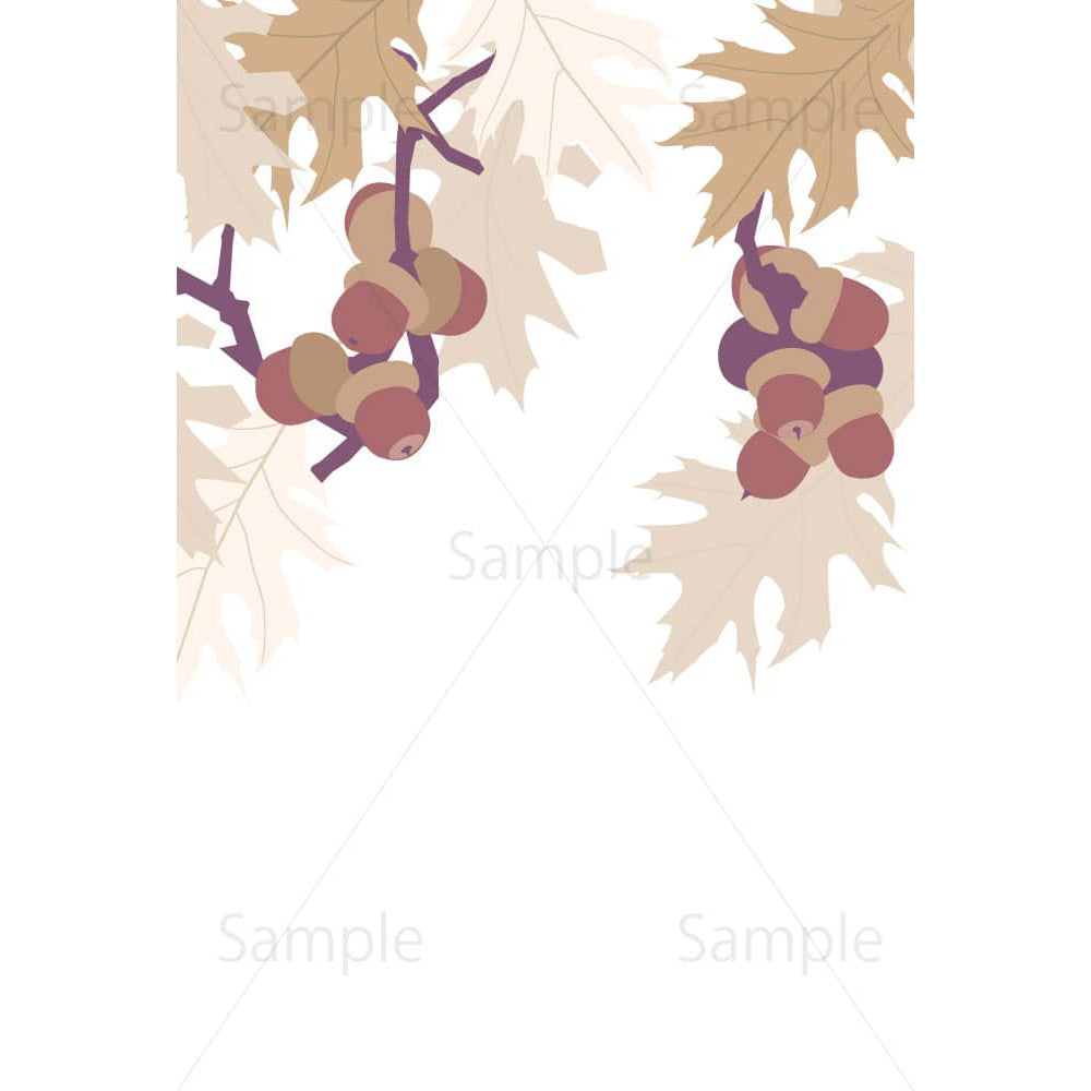 アカガシワの木とドングリ（縦・背景透過）のイラスト素材
