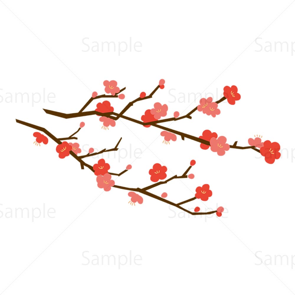 梅の花のイラスト素材