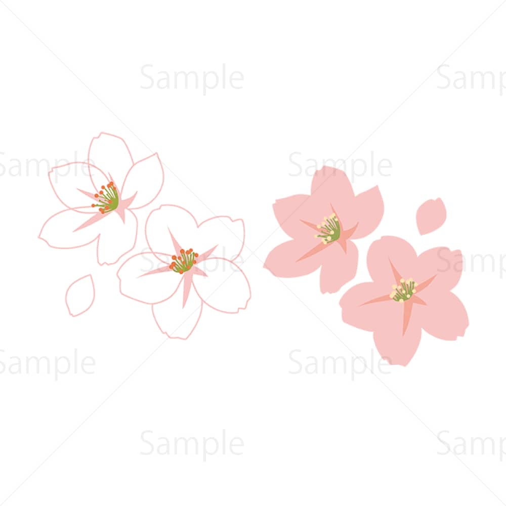 紅白の桜の花びらのイラスト素材