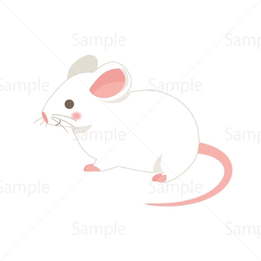 白ネズミのイラスト素材