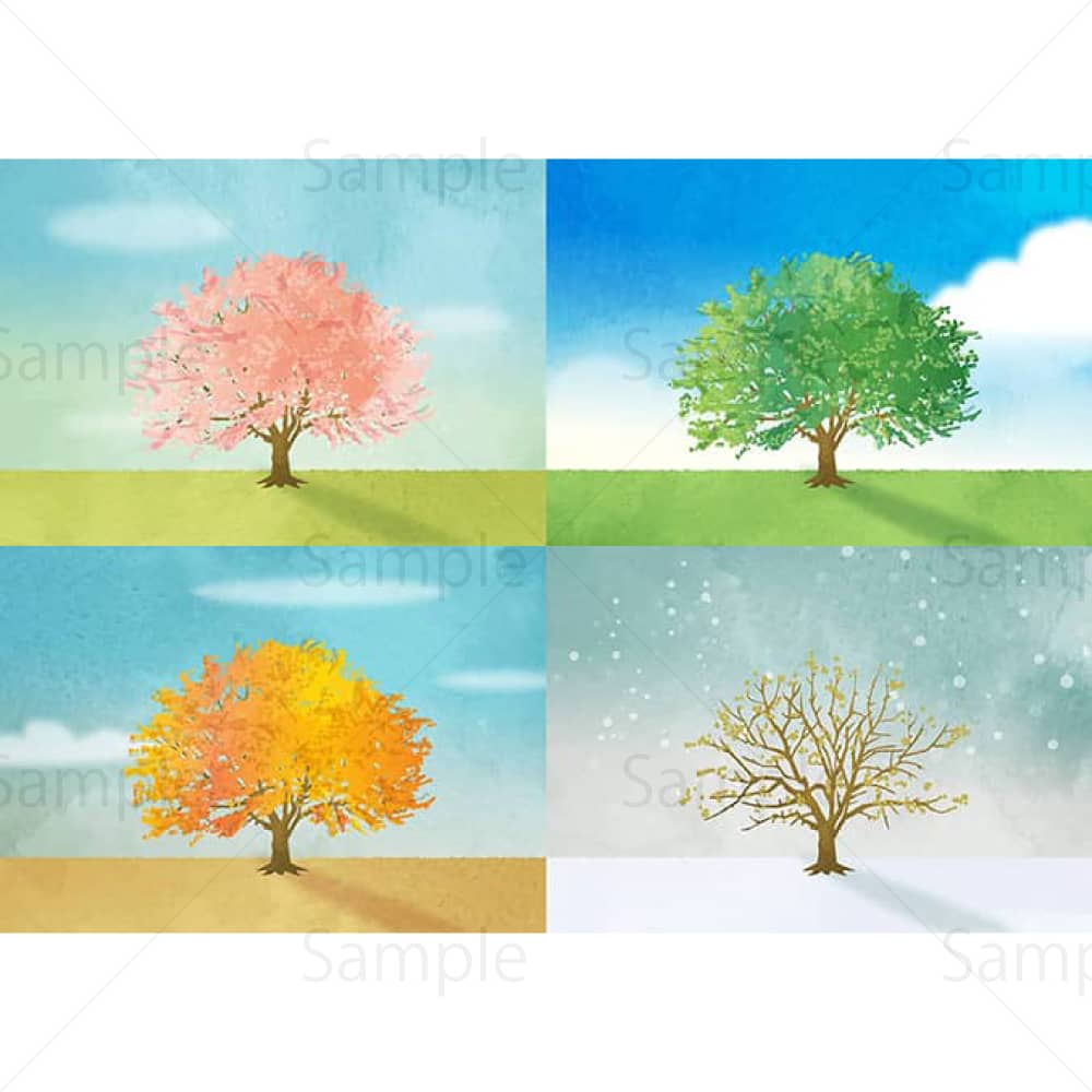 春夏秋冬 -桜の木-（ポストカード）のイラスト素材