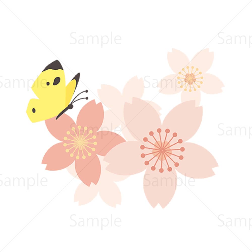 桜と蝶のイラスト素材