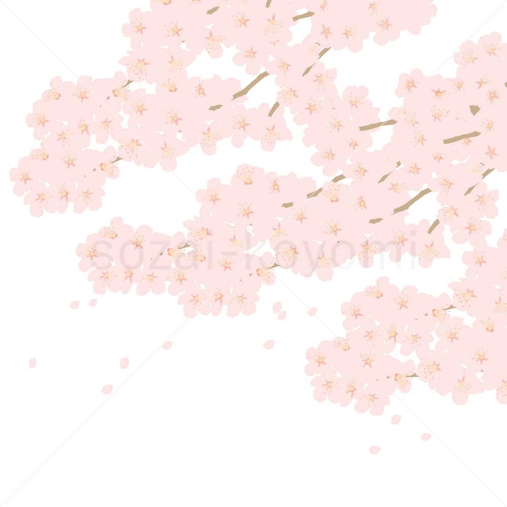 満開の桜のイラスト素材
