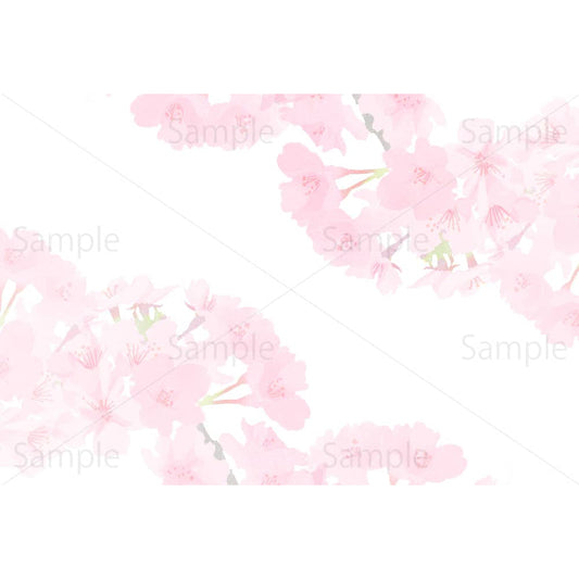 淡彩風の桜の背景のイラスト素材
